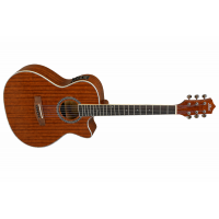 Guitarra Electroacustica Cuerdas Metálicas Blast 41GA-MG